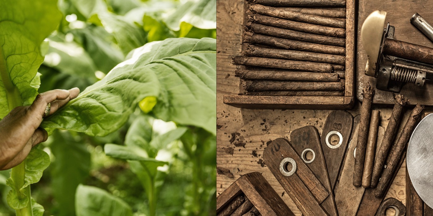 Scandinavian Tobacco Case Study